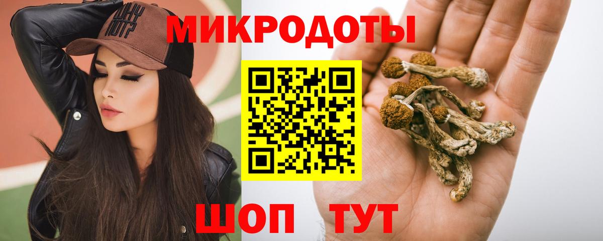 Элиста  Псилоцибиновые грибы мухоморы  Псилоцибиновые грибы Cubensis  Вход с VPN 